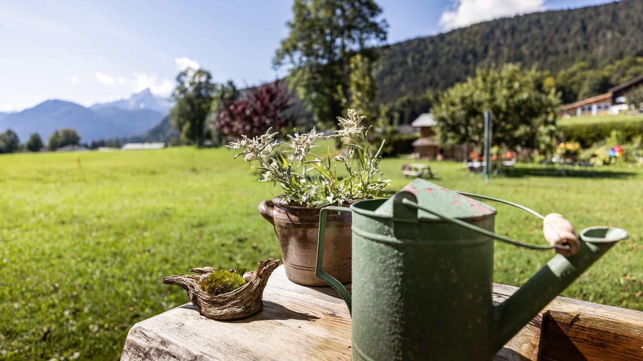 Liebe zum Deteil Liebe zum Deteil